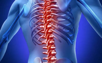 Spinal Cord Injuries