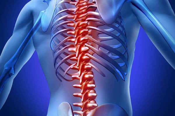 Spinal Cord Injuries