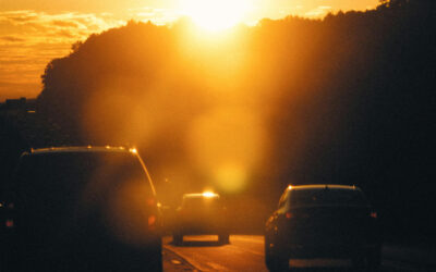 Common Spring Driving Hazards